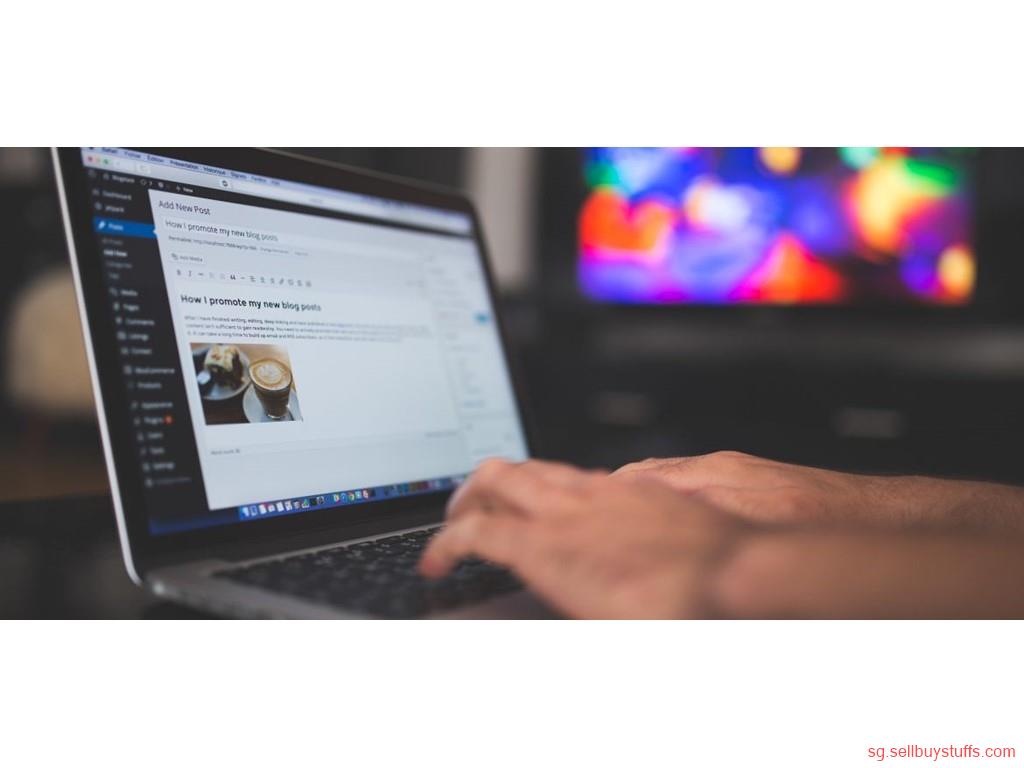 second hand/new: WordPress Website Package SG: 499 SGD, Unlimited Pages, Unmatched Flexibility