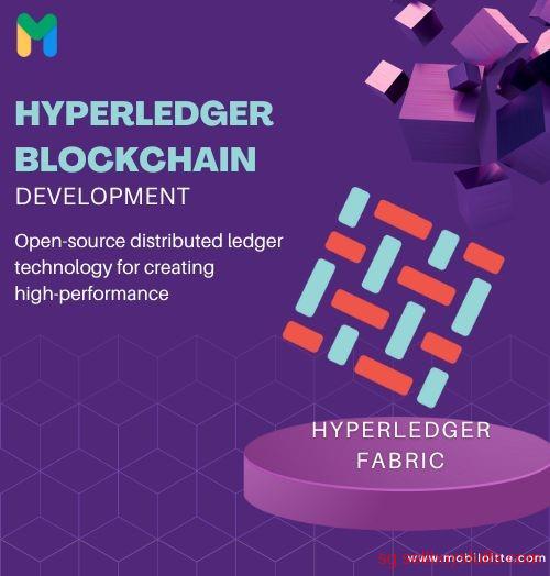second hand/new: Unleash Blockchain Potential: Mobiloitte's Hyperledger Development Services