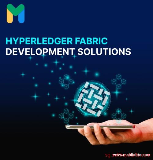 second hand/new: Contact Mobiloitte for Hyperledger Blockchain Development Services
