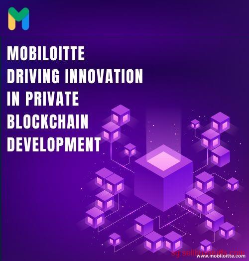 second hand/new: Unlock the Potential of Private Blockchain with Mobiloitte's Solutions