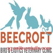 second hand/new: Bird and Exotics pet, Mammals veterinary specialist Clinic Singapore