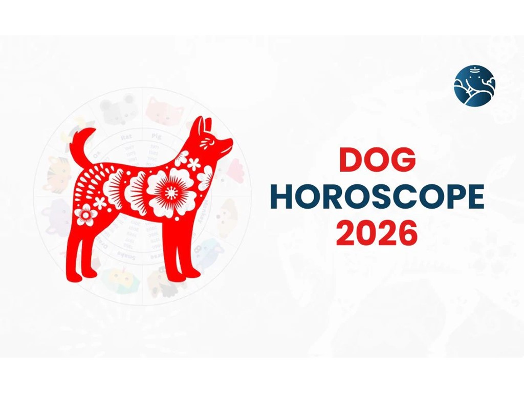 second hand/new: Dog Horoscope 2026 – Prediction For The Year Of Fire Horse