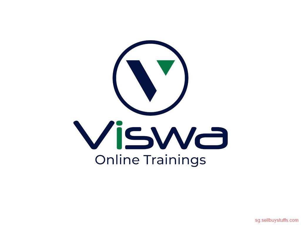 second hand/new: VISWA Online Trainings