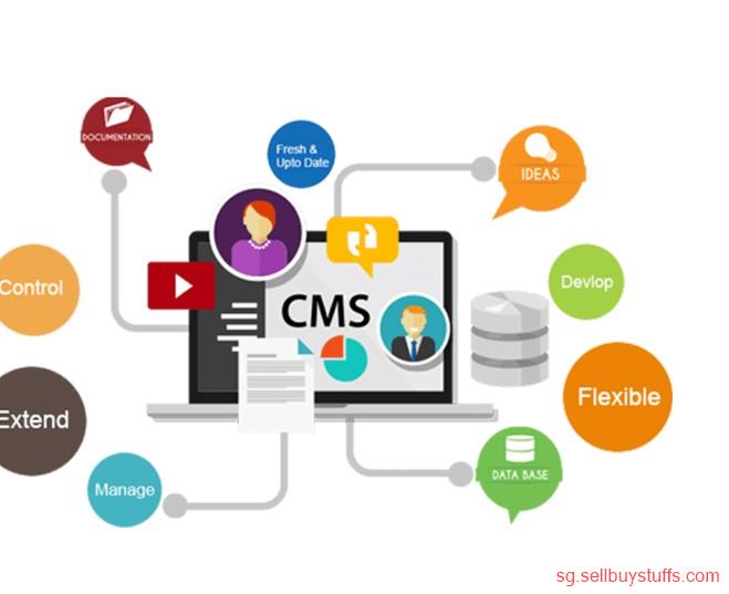second hand/new: cms word press website design