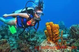 second hand/new: Andaman Adventure Tour Package