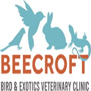 second hand/new: Bird and Exotics pet, Mammals veterinary specialist Clinic Singapore