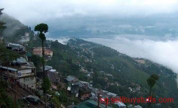 second hand/new: Darjeeling Family Tour