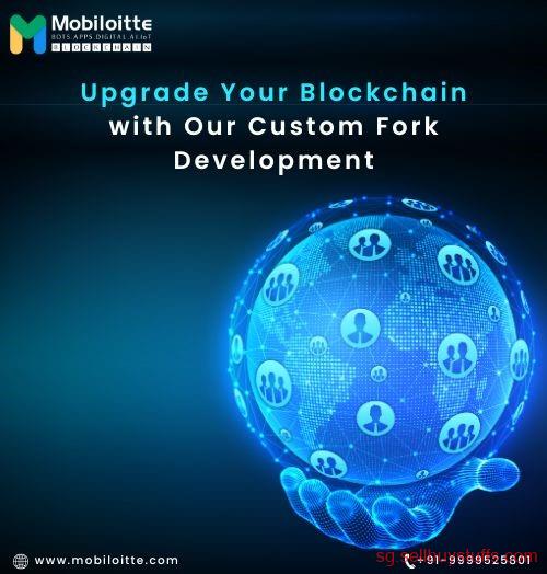 second hand/new: Upgrade Your Blockchain with Our Custom Fork Development Solutions