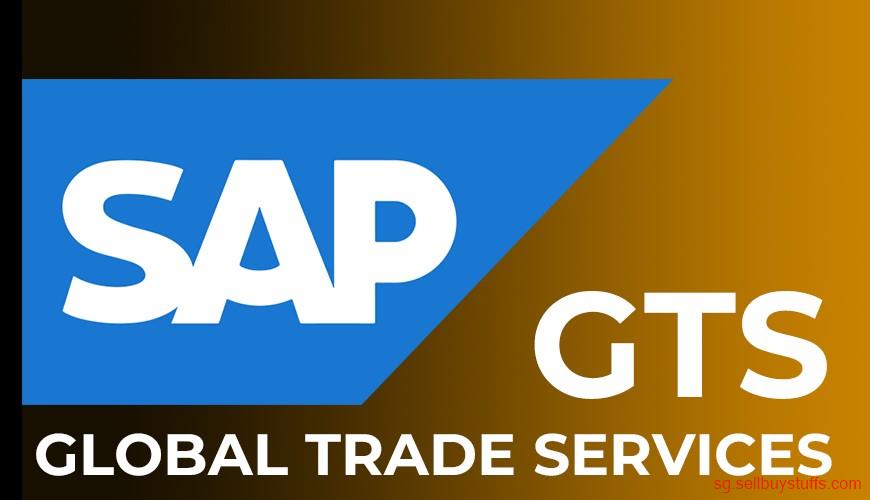 second hand/new: Best SAP GTS Training from Hyderabad