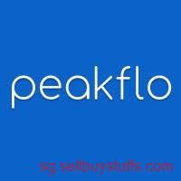 second hand/new: Best Automated Accounts Receivable System - Peakflo