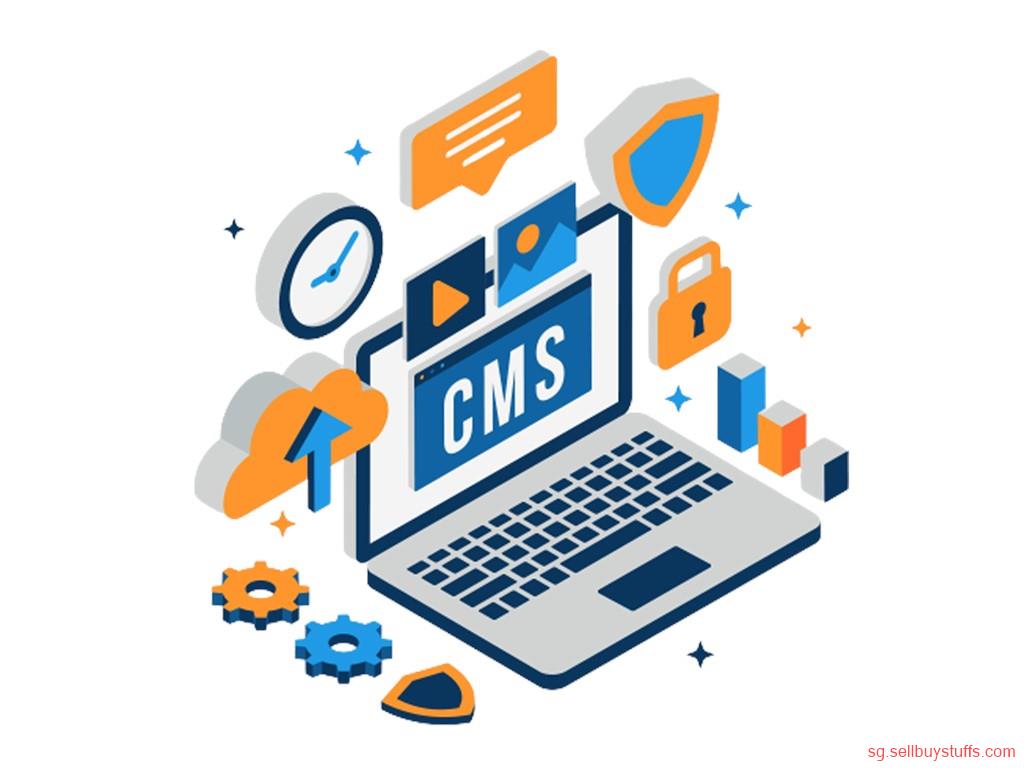 second hand/new: CMS Website Design Singapore | Custom CMS Web Development