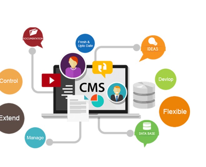 second hand/new: cms word press website design