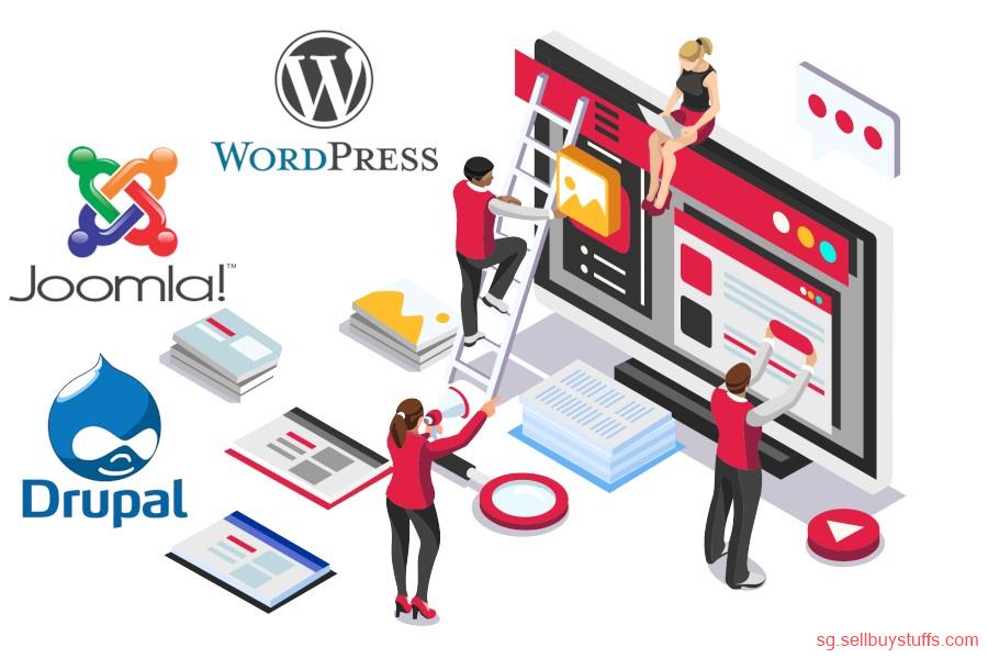 second hand/new: Singapore's Best Web Design Deal: 499 SGD for Unlimited Pages & More!