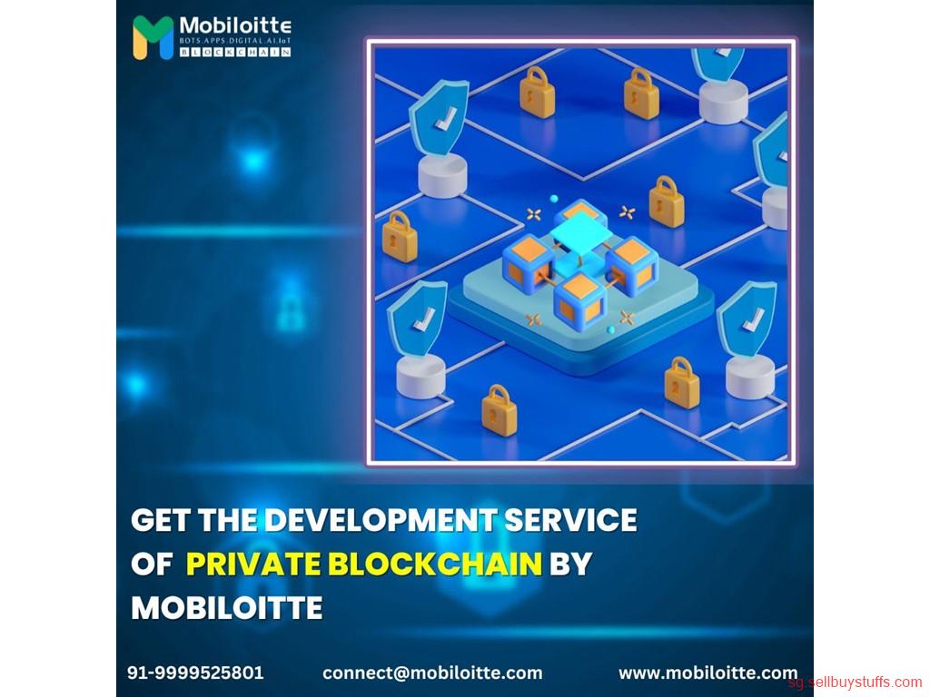 second hand/new: Get the Development service of  Private Blockchain by Mobiloitte