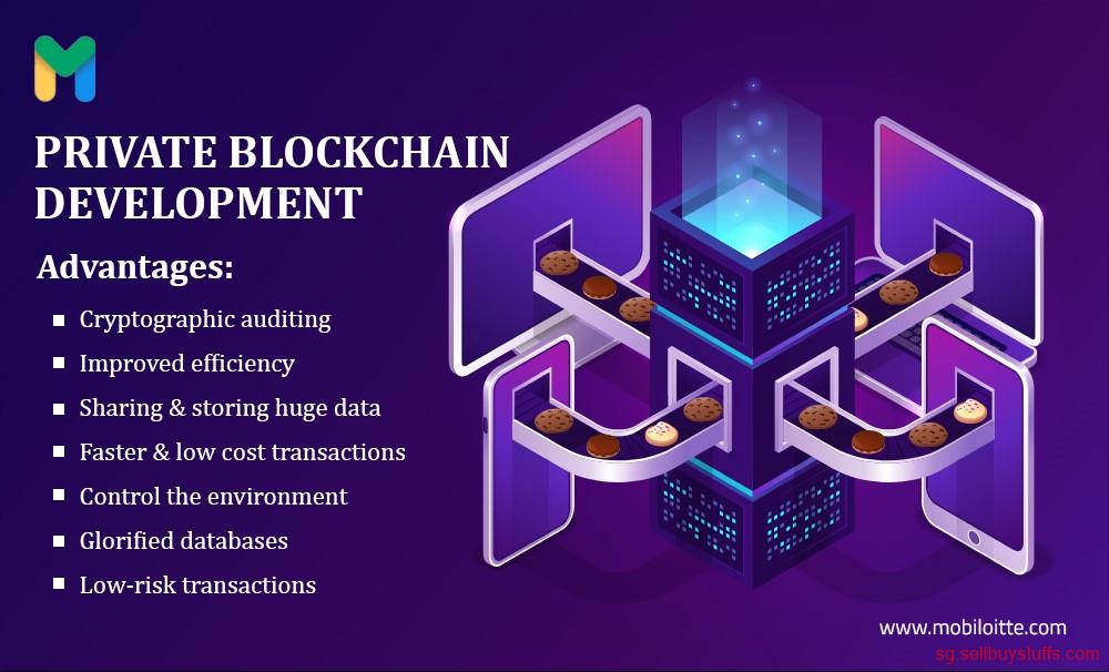 second hand/new: Mobiloitte: Your Trusted Partner for Private Blockchain Development Services